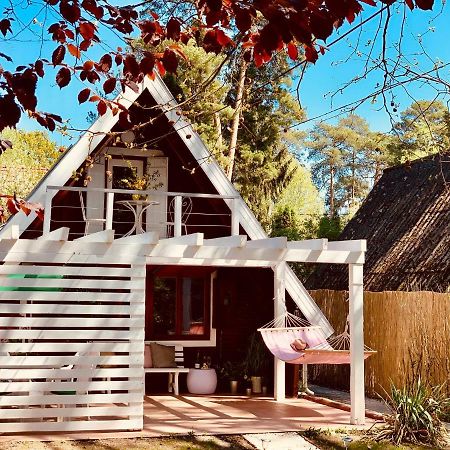 Nadi'S Holiday Home - Heart Of Woods, Szentendre Island Szigetmonostor Luaran gambar